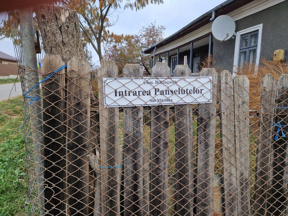 Refugiu la 1h de Bucuresti - 60m deschidere la apa, casa sau glamping