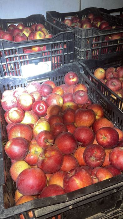 Яблоки Сочные, Мощные