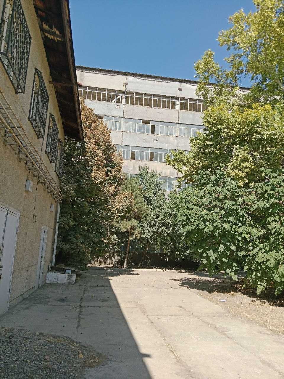 ХХХ Продаётся База 1,15 гектар в Янгиюле