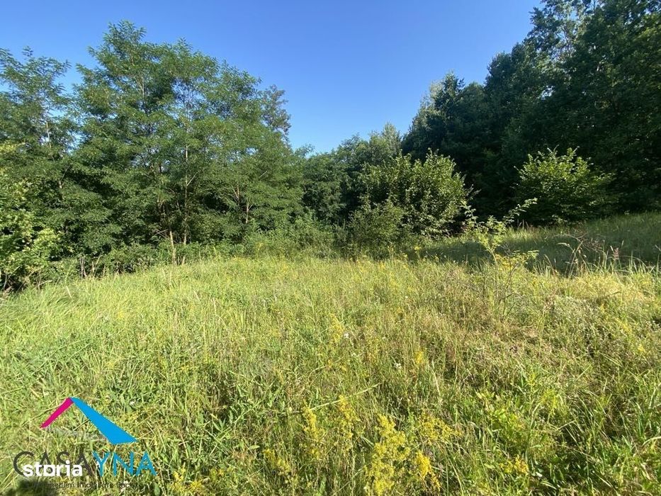 Podis - Strada Dubas - Teren 7205mp!