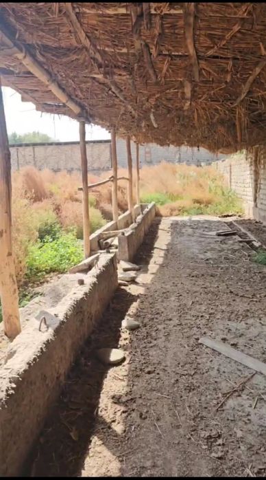 Продаётся участок с фермой