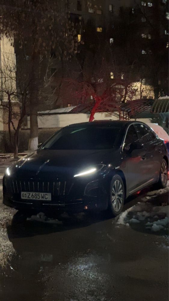 Hongqi E-QM5 500км