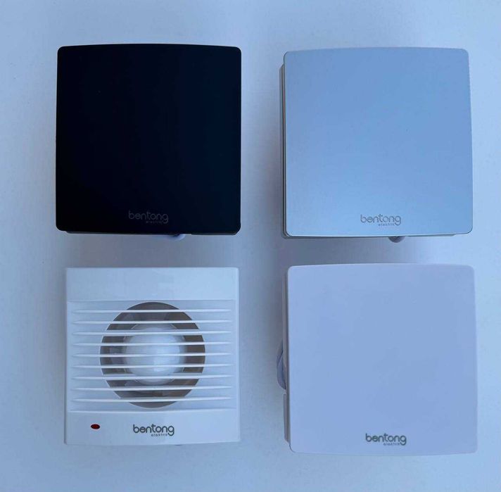 vitishka | Havo Tortgich | Bentong | витишка