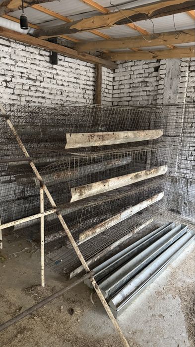 Tovuq setka 4 komplekt