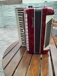 Acordeon Parrot 120