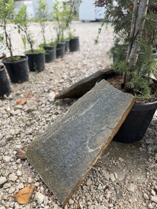 Vand placi din piatra naturala decorativa