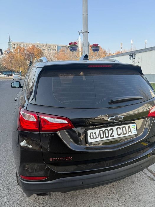 Экюнокс кора цвет