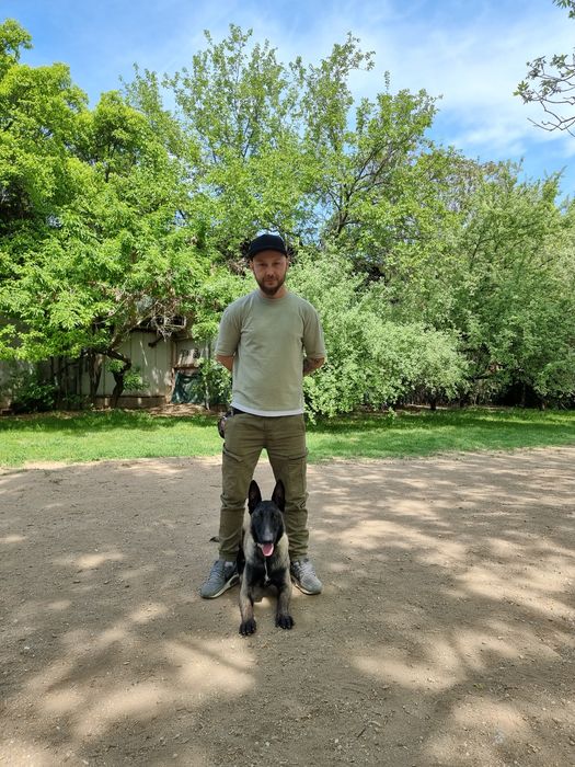 Consiliere și dresaj canin la domiciliu