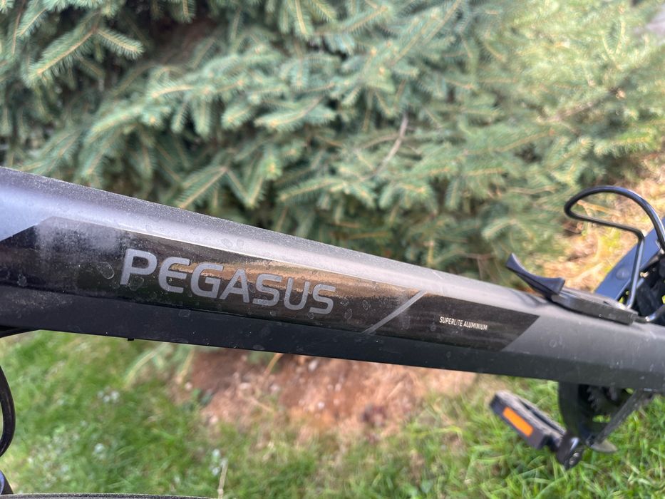 Bicicleta Pegasus Solero