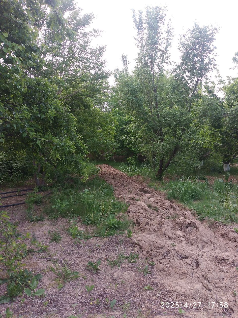 Срочно продаётся ЗЕМЕЛЬНЫЙ УЧАСТОК  24-соток