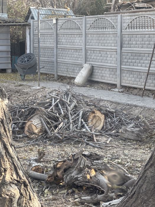 Отын Ағаш Дрова отын