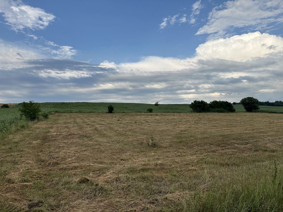 PROPRIETAR parcele teren Todirel, 500-2000 mp. Posibilitate de RATE