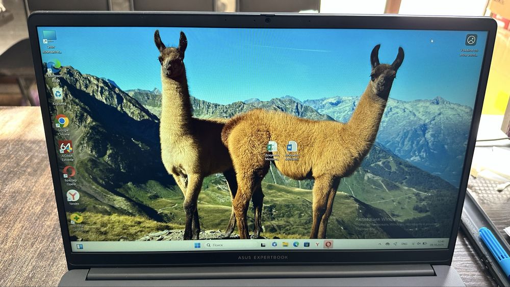 Asus expert book