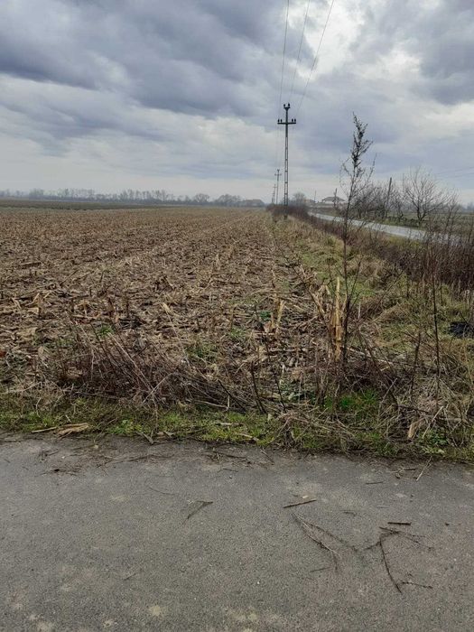De vanzare teren intravilan in Halmeu (loc de casa)