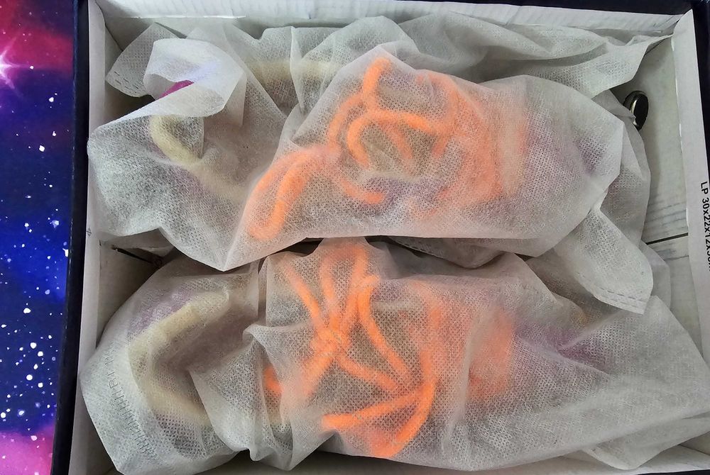 Adidasi si pantofi dama noi