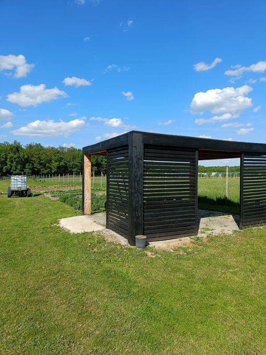 Teren de vânzare in Bihor 7 min de Băile Felix și 9 minute de aeroport