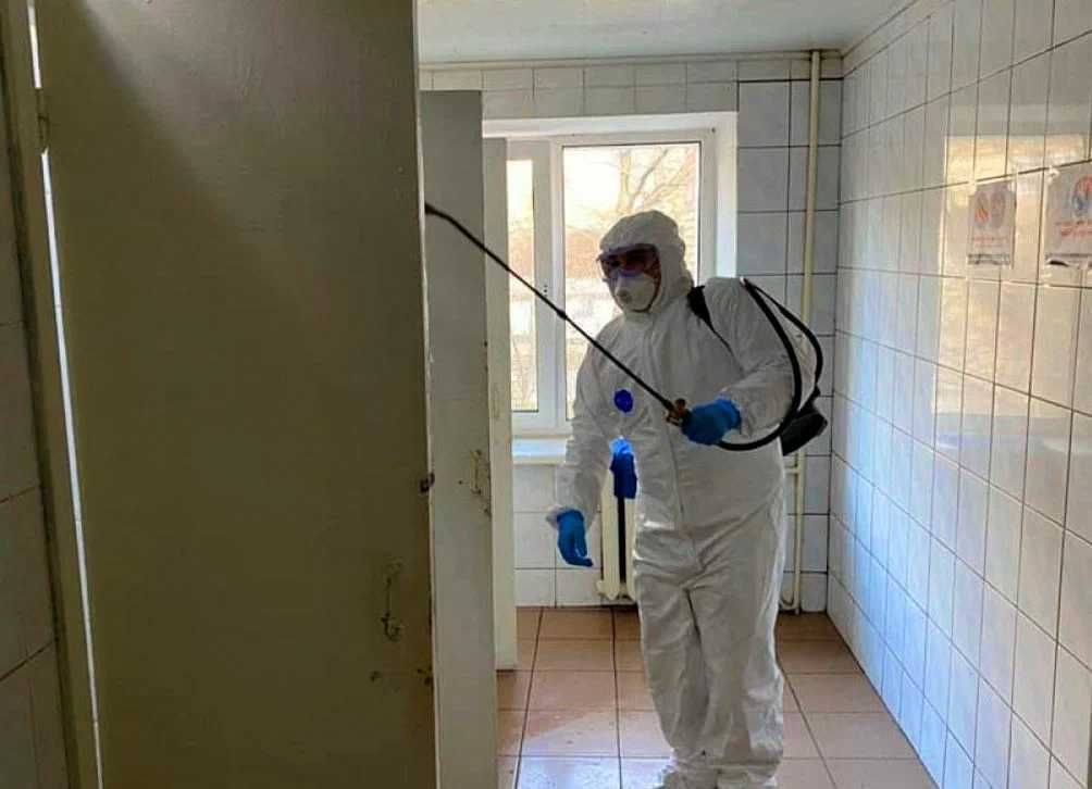 Профессиональная дезинфекция и дератизация | Сертификат | Без выходных