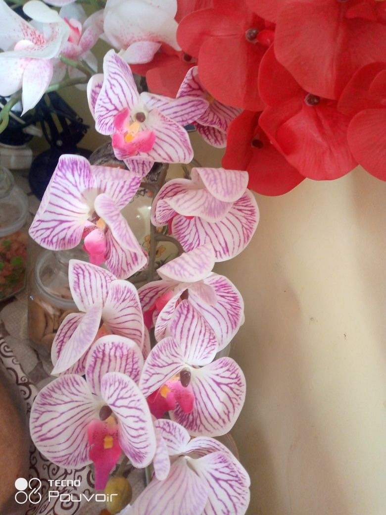 Продам исскуственные, силиконовые орхидеи 5шт по 1000 каждая