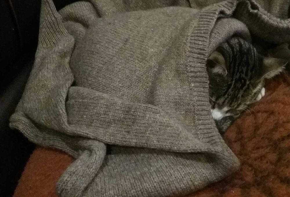 Нова Година БЕЗ СТРЕС от Пиратки Гледане на Кучета и Котки Къща с Двор