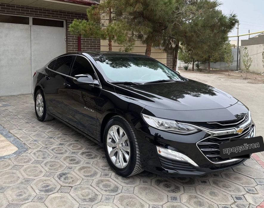 Malibu 2 Primer 2022