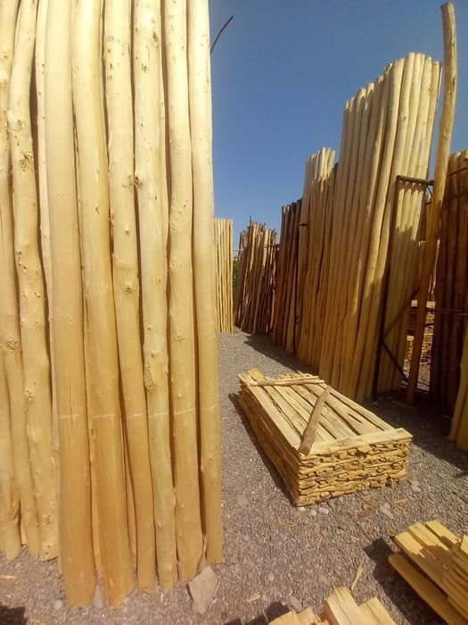 Арзон тераклар бор