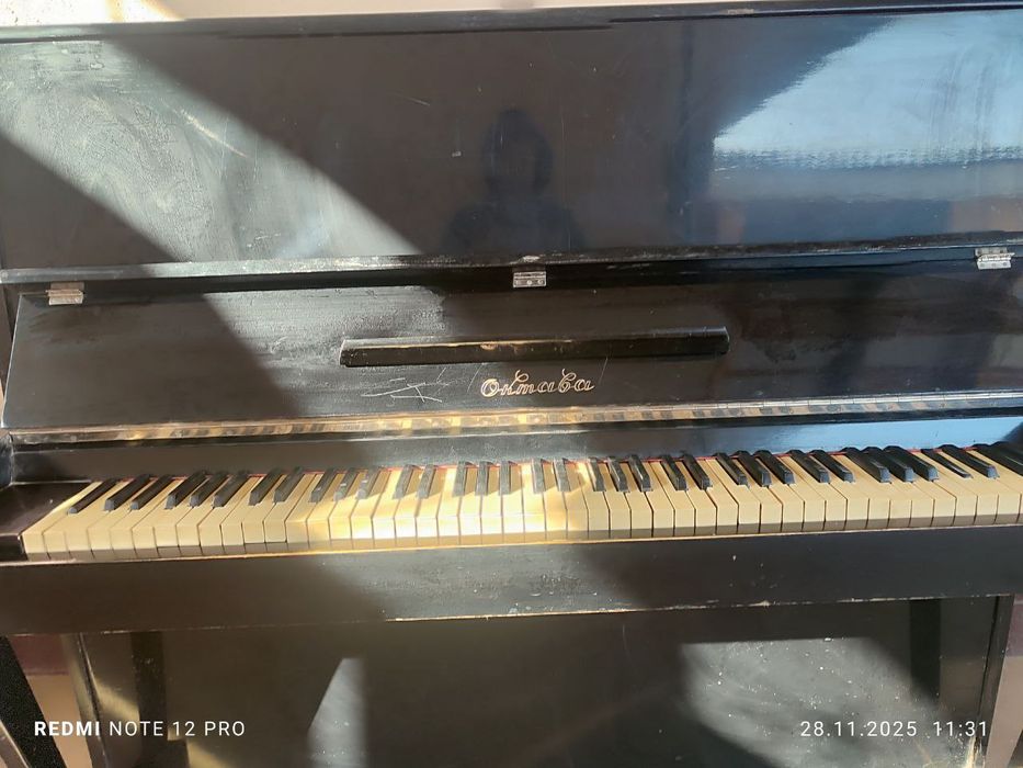 Oktava holati yaxshi