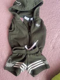 Сетче на Adidas