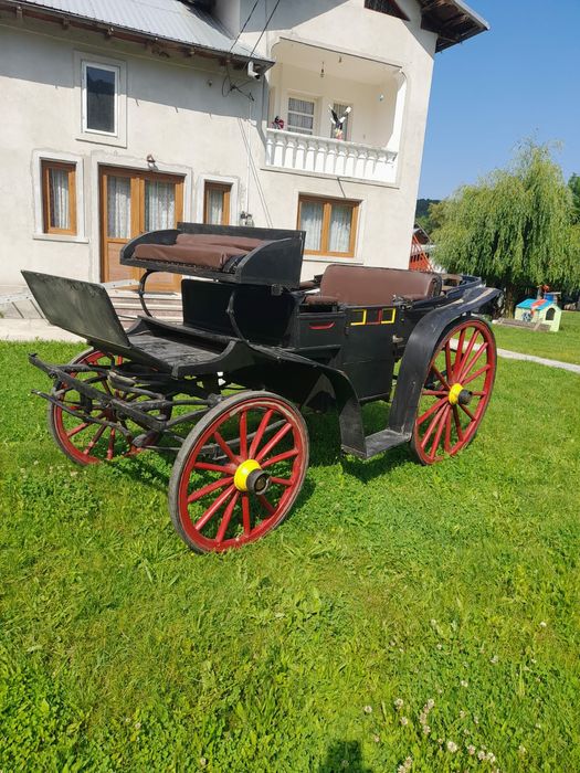 Vand trasura,doi cai!