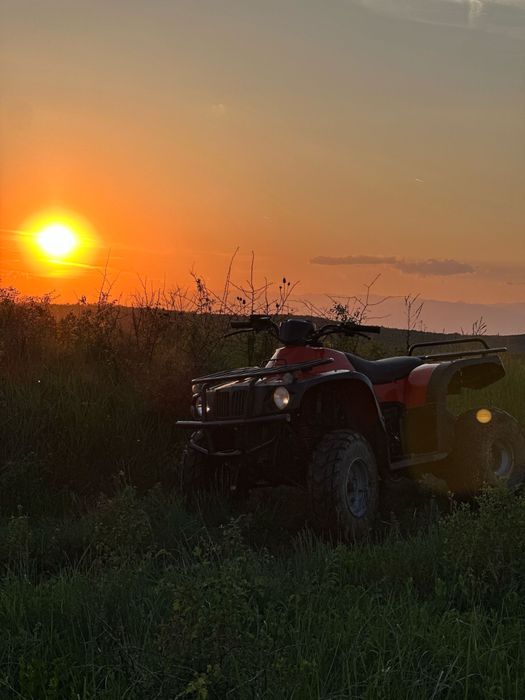 Atv New Force 250