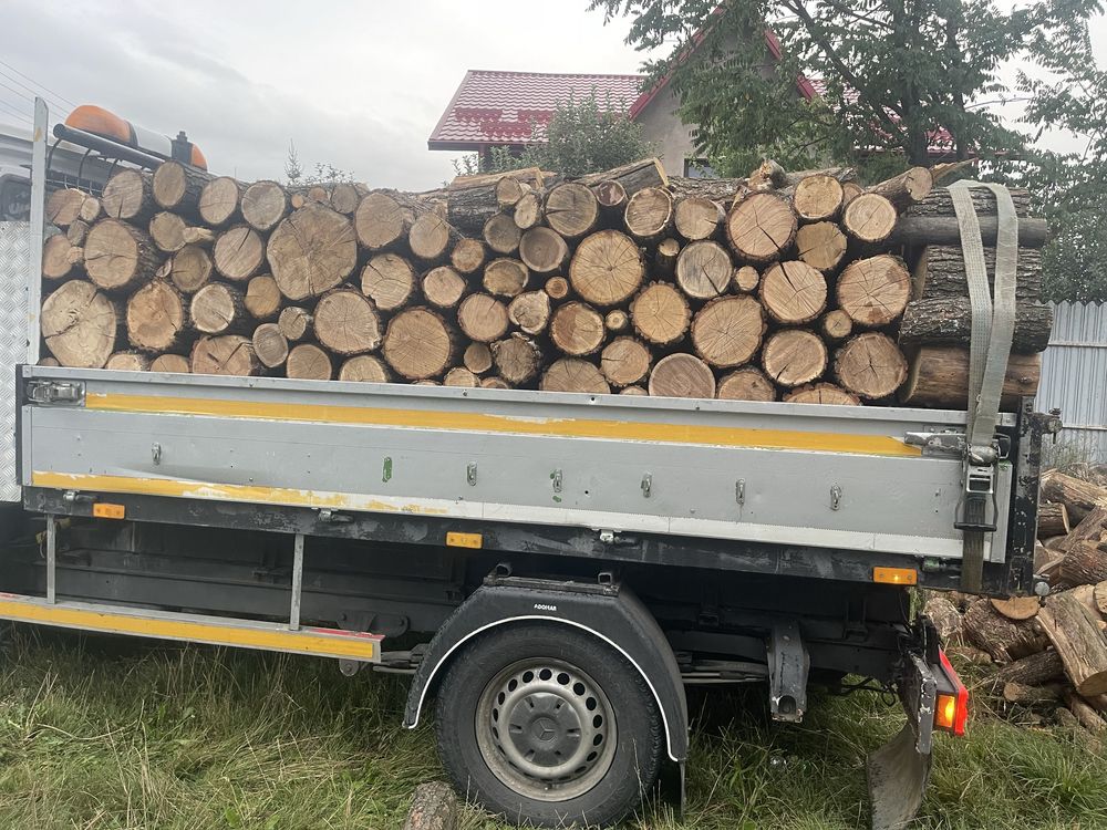 Lemne de foc esența tare 600 de lei metru cub cubaj corect