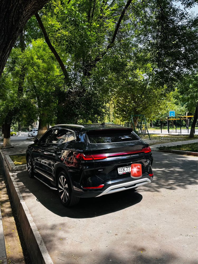Byd chempiyon 2024