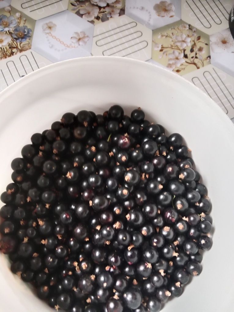 Продам черную смородину
