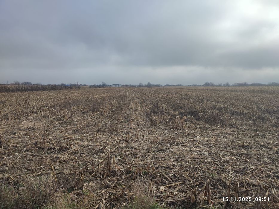 Vând teren intravilan + extravilan