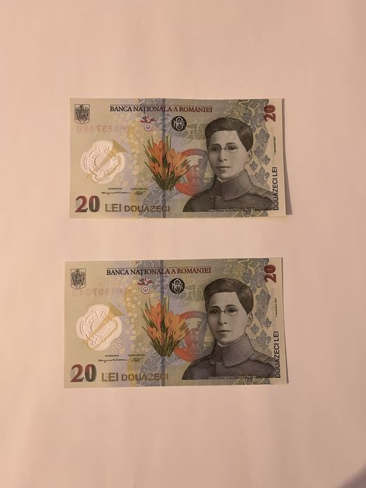 Vand tablou cu “bacnote” pentru colectionari