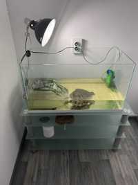 Продам черепаху вместе с аквариумом