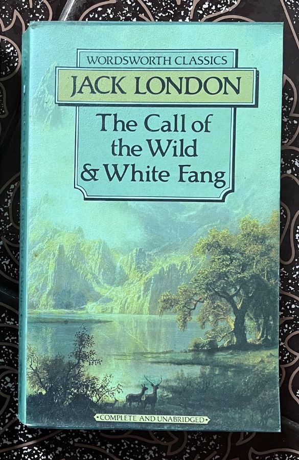 Книга на английски поеми и разкази Edgar Allan Poe; и White Fang