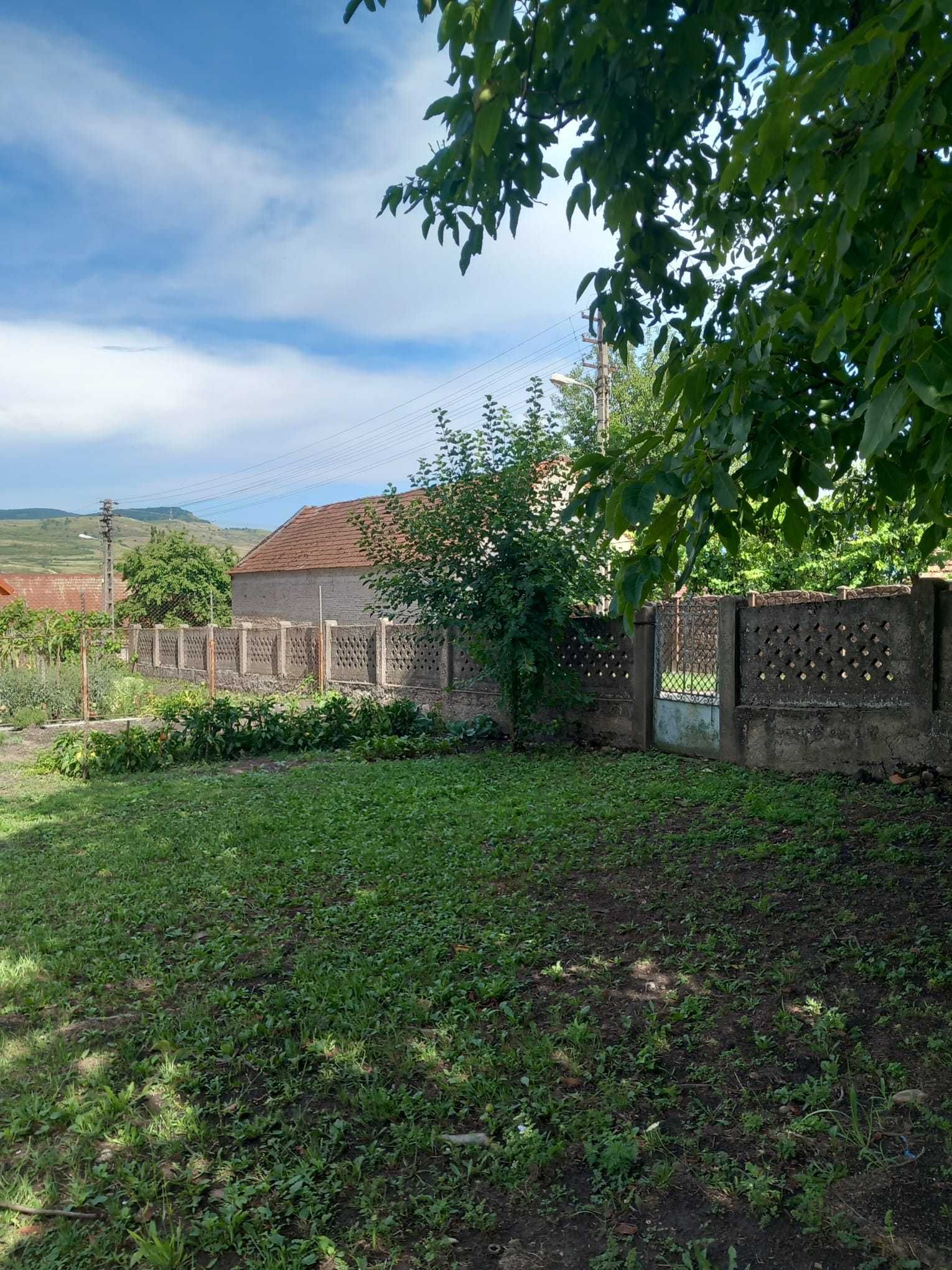Casă de vânzare în Călanu Mic, jud. Hunedoara