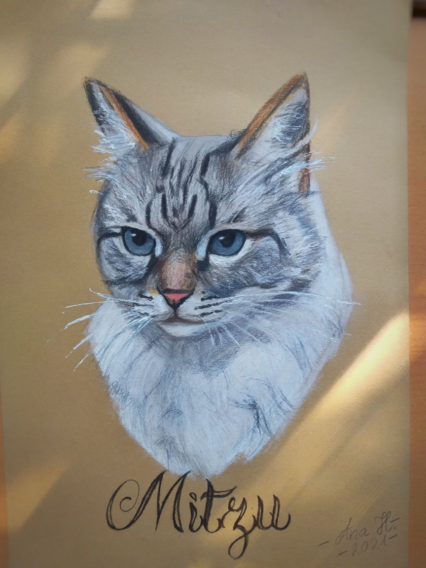 Caricaturi / Portrete oameni / animale companie la comanda