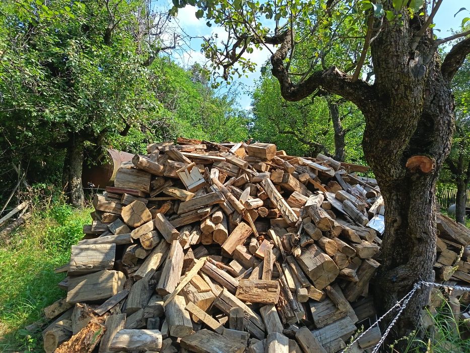 Lemn uscat de foc stejar, prun