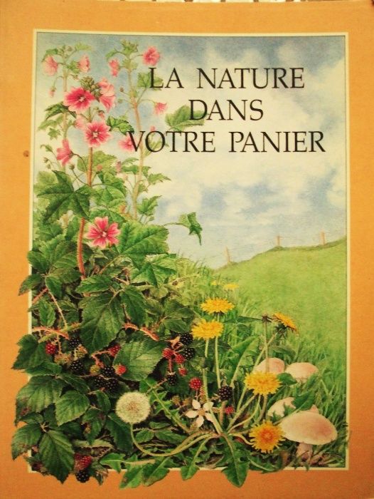 Cărți de reţete, diete şi meniuri din toată lumea_în engleză, franceză