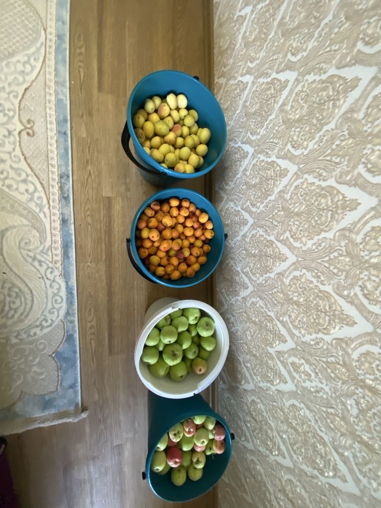 Продаю Абрикосы и яблоко