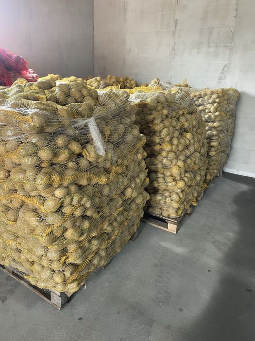 vand cartofi de polonia