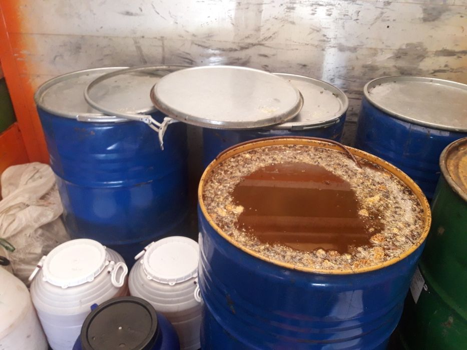 Miere en gross  poliflora 2025