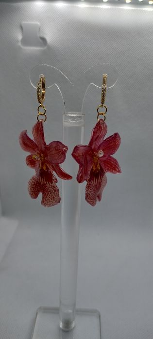 Обеци с естествен цвят на мини орхидея Miltonia.  Цветче с размери 5/4