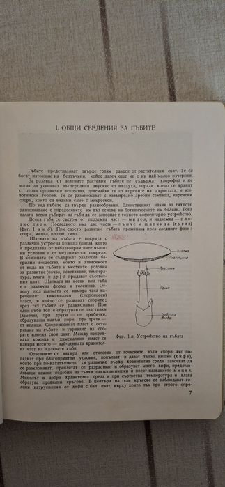 Продавам книга-ръководство за диворастящи и култивирани гъби