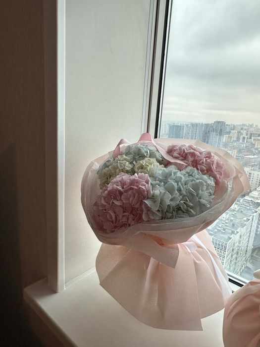 Цветы гортензия красивые