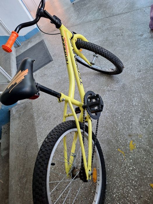 Bicicleta Terrana copii