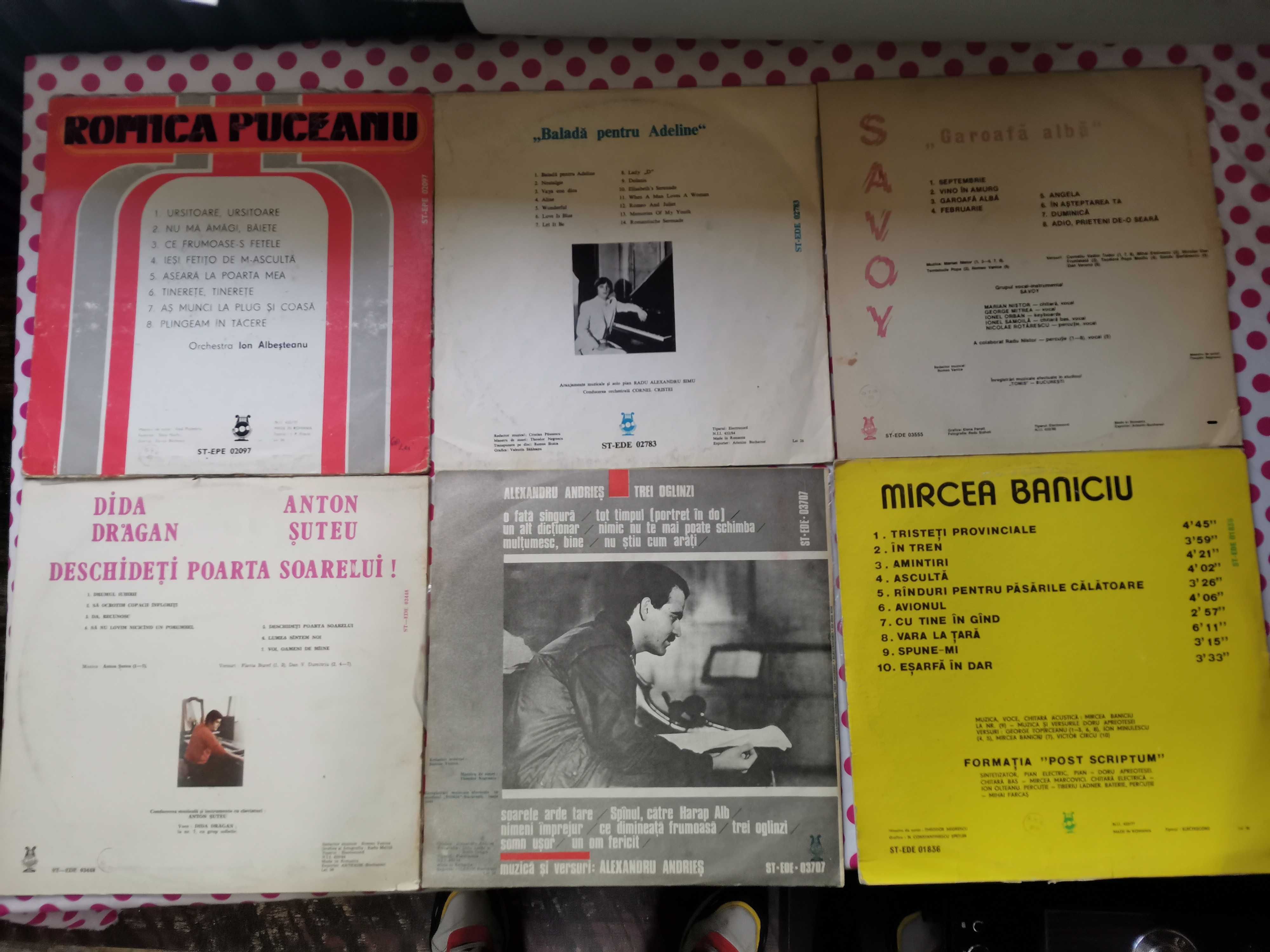 Discuri vinil, muzica romaneasca si straina.