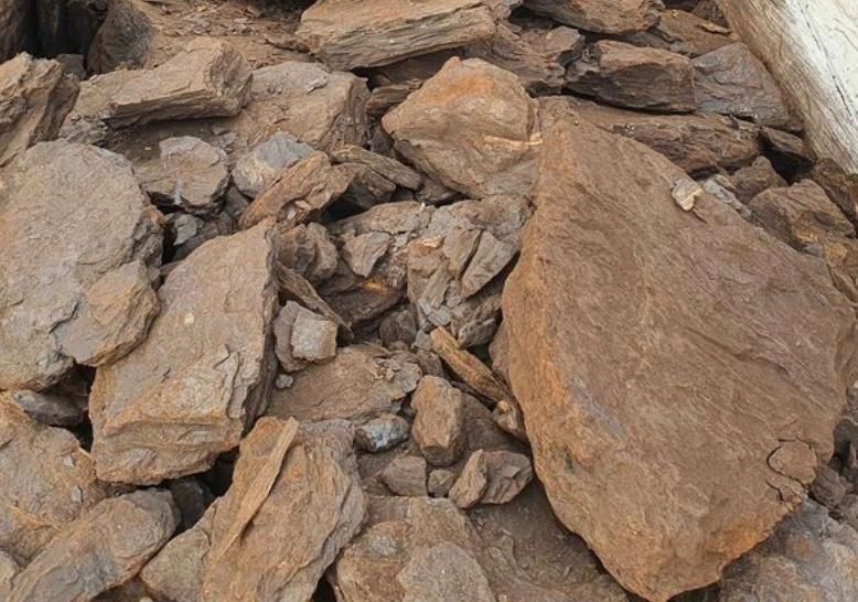 Carbune lignit pentru centrale termice