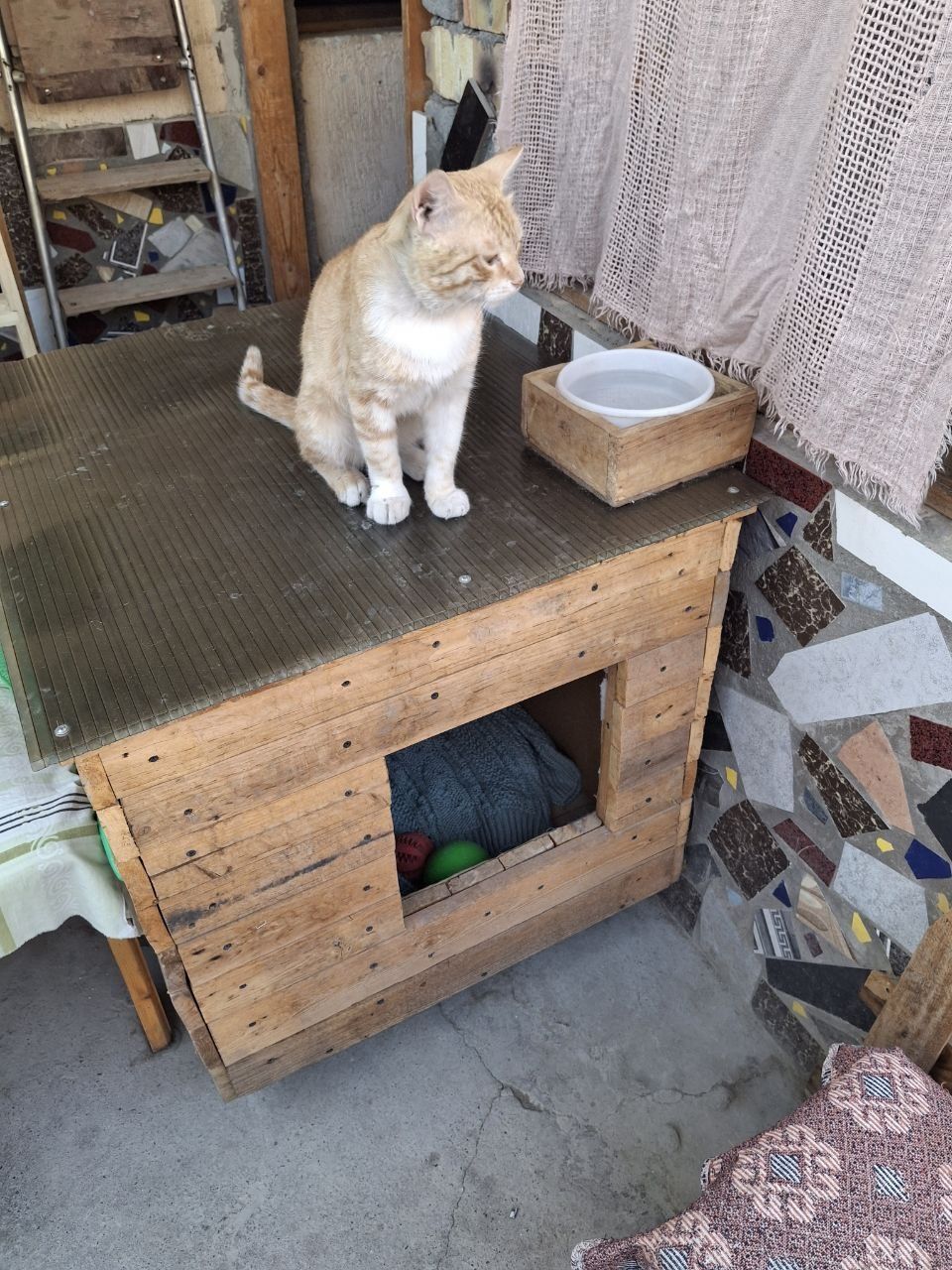 Домик для кошек и собак
